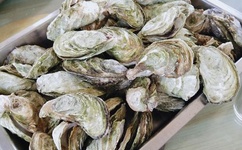 水蜜蜜视频app爱如潮水